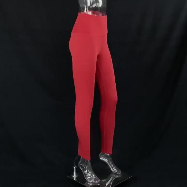 Buy Colourful High Waisted Seamless Gym Leggings Snagging Resistance at wholesale prices