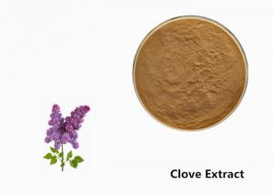 Quality Brown Clove Flower Plant Extract Powder For Food Additive for sale