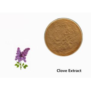 Buy cheap Brown Clove Flower Plant Extract Powder For Food Additive from wholesalers