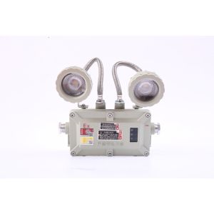 Quality 2*5w Ex Proof Aluminum Emergency Light 65-85DB Alarm Decibel IP66 for sale