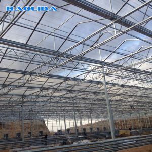 Multi Span Venlo Type Greenhouse / PC Polyethylene Film Greenhouse Sides