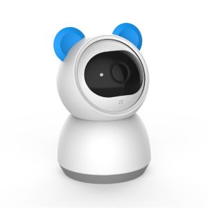 Smart Wireless 1080P P&T Camera(E95A)