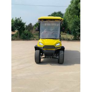 Off-Road Electric Golf Cart 6+2 Seats 8 Passengers 4kw 72V 100Ah Lead Acid