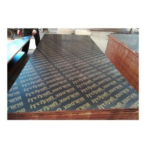 Construction Two Times Hot Press 4x8 Plastic Film Faced Ply