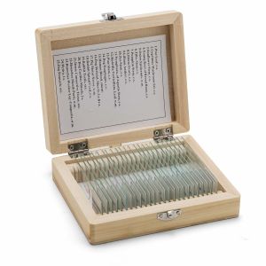 Prepared 25pcs Lab Research Odm Histology Microscope Slides