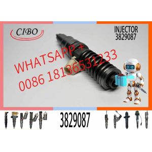 Injector Assy Fuel 3829087 03829087 3803637 3803638 889481 00889481 Nozzle