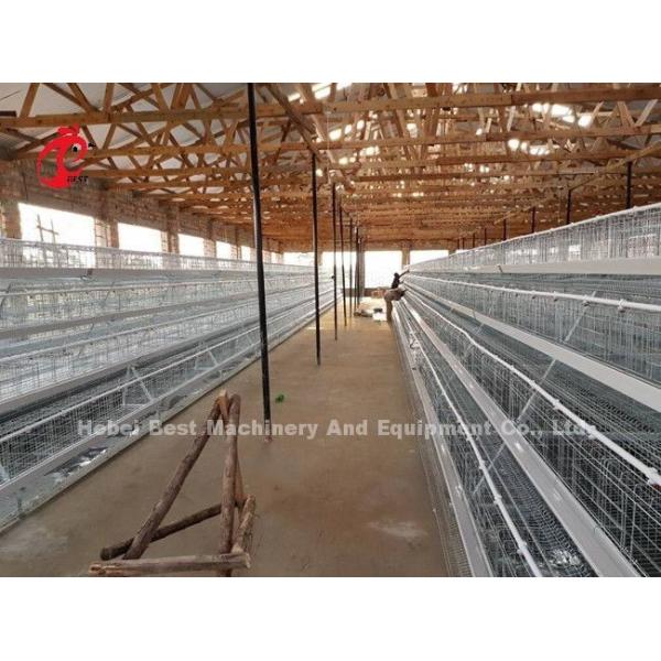 Egg Laying Chicken 96 Birds Broiler Battery Cage System Durable Corrosion Resistance Emily