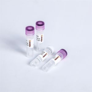 K003-C NGS Library Construction UDI UMI Adapters Primers For Illumina K003