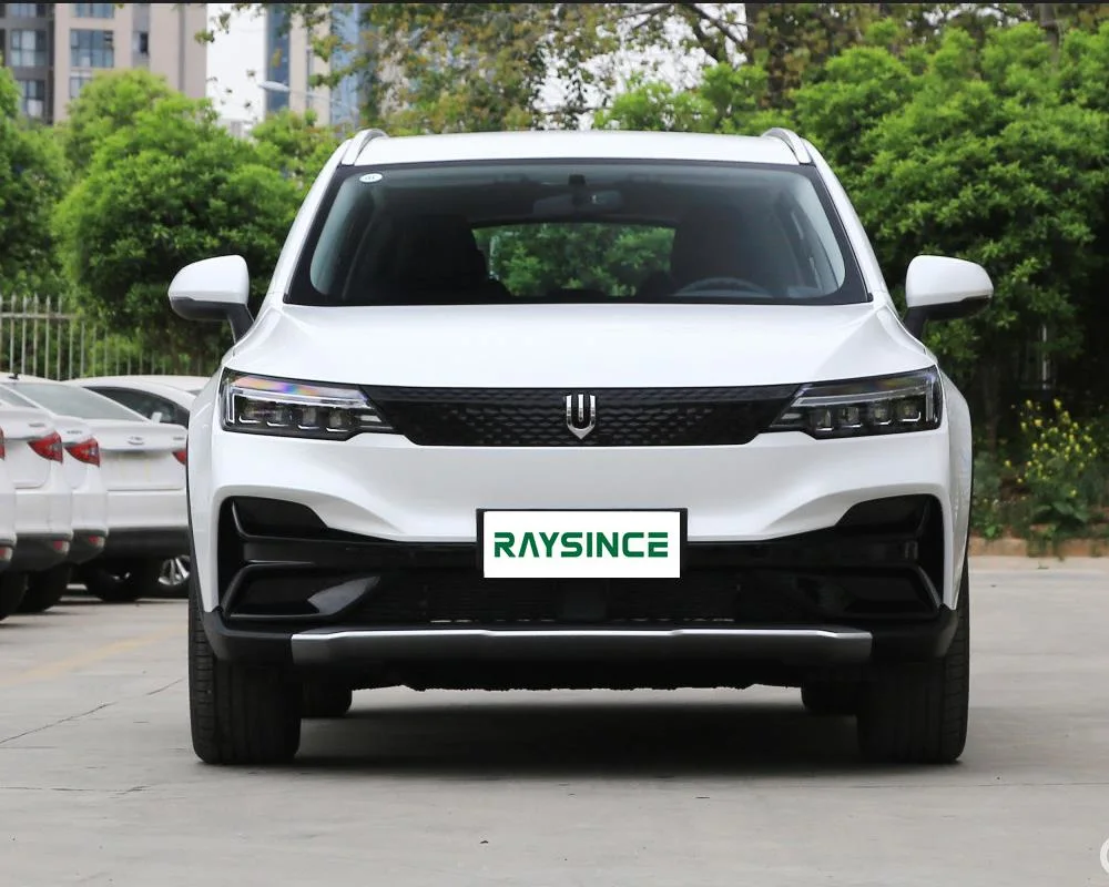 China Factory Supply Skyworth EV6 Electric Car High Speed Battery Car Hot Sale SUV Electric Car