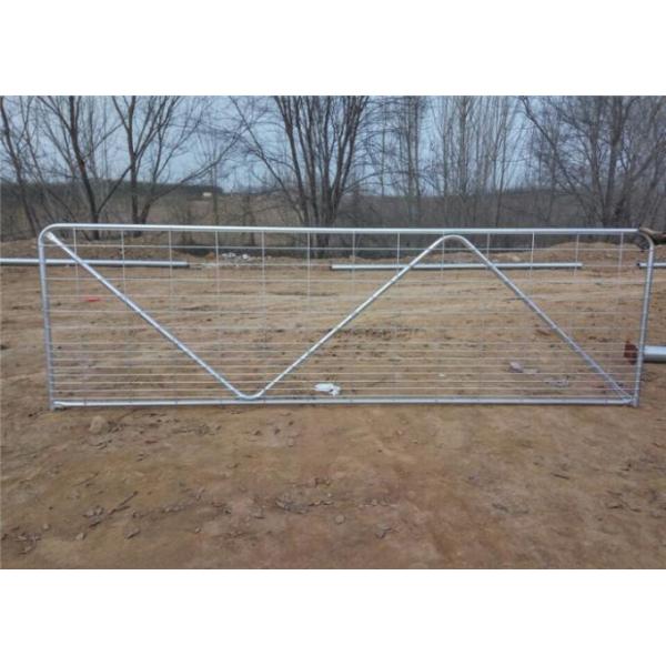 32mm 33.4mm Tube Size 12 Foot Livestock Gate Zinc Plated Surface Treatment