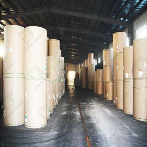 Multi Color A4 Office Paper High Quality Printing Colorful Paper