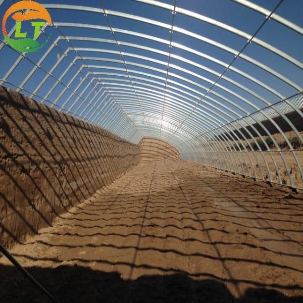 Buy Single Layer Agricultural Tomato Greenhouse Optimal Ventilation Guaranteed at wholesale prices