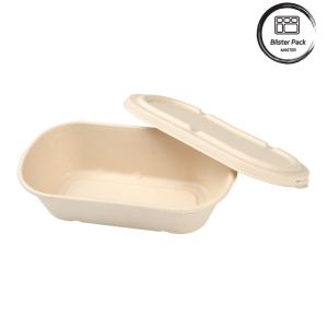 Take Away Lunch Recyclable Food Containers Biodegradable Sugarcane Bagasse