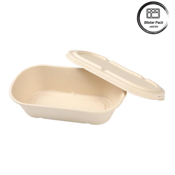 Buy Take Away Lunch Recyclable Food Containers Biodegradable Sugarcane Bagasse at wholesale prices