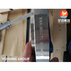 ASTM A182 (ASME SA182) F316L SO RF Forged Flange for Ship Building Industries