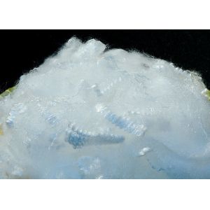Cationic Polyester Fiber 1.4D 38MM Anti Distortion