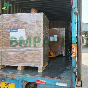 Grease Resistant Paper Plate Paper Material PET Coating Soak Proof