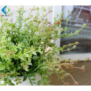 Living Room Artificial Green Plants 20cm Height Customized Design