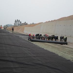 1m-8m Width Black White Green Blue HDPE Geomembrane Liner for Environmental