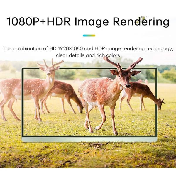 15.6 Inch 4K Type C HDR Portable Dual Screen Monitor Touch LCD Screen For PS5