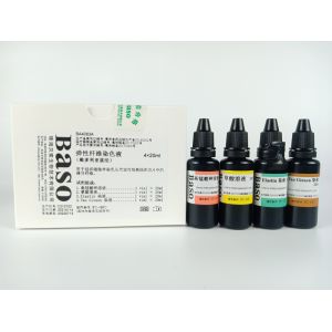 Elastic Fiber Stain (Victoria blue Method) -V.G. counterstaining Baso Clear Colourful Stains