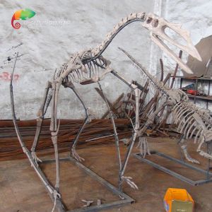 Museum Exhibition Resin Dinosaur Skeleton Quetzalcoatlus Skeleton Customizable