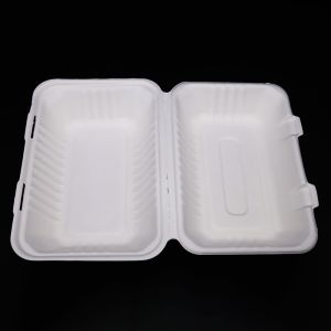 Disposable Biodegradable Sugarcane Bagasse Dinnerware Sets