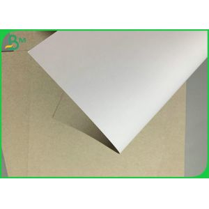 Smooth White 300g Duplex Board Grey Back For Beverage Packaging