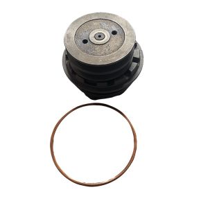 4919813 Cummins Diesel Engine NH220 NH250 Water Pump