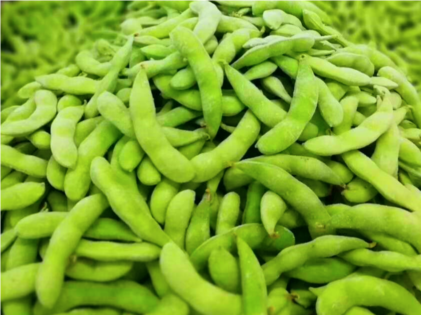 China Supplier Soya Beans IQF Frozen Edamame in Shelled