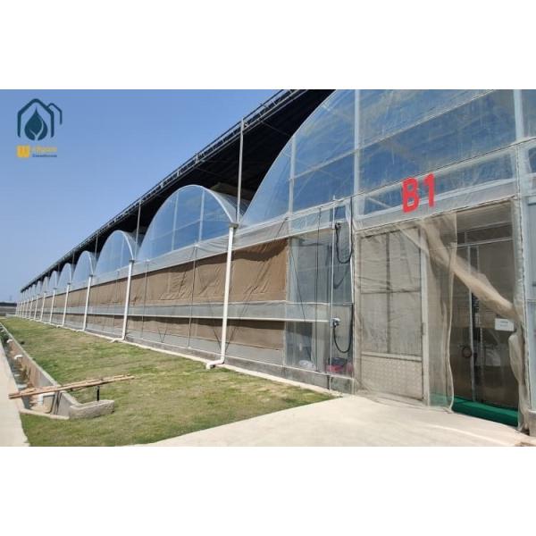 Buy Agriculture Tomato Tunnel Greenhouse Multi Span Horticulture Tropical Greenhouse at wholesale prices