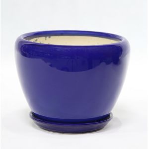 Stunning Plant Display With Our Ceramic Pots Affordable Prices