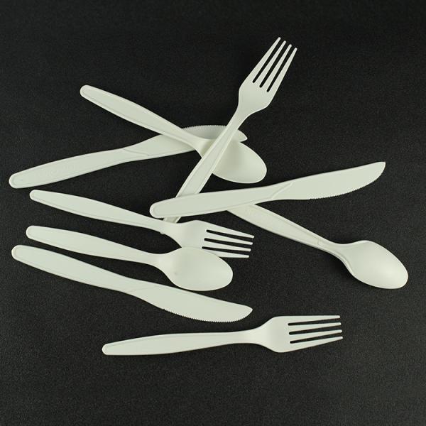 Compostable Cutlery Biodegradable Spoon and Fork Knife Tableware PSM for Restaurants