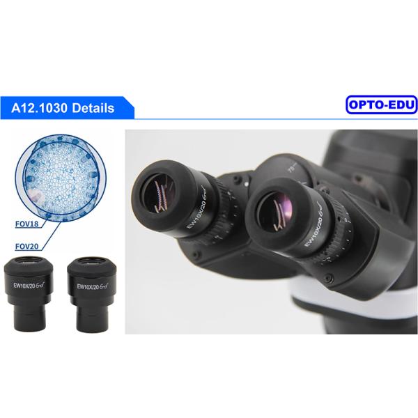 A12.1030-B Laboratory Binocular Compound Light Microscope 100x