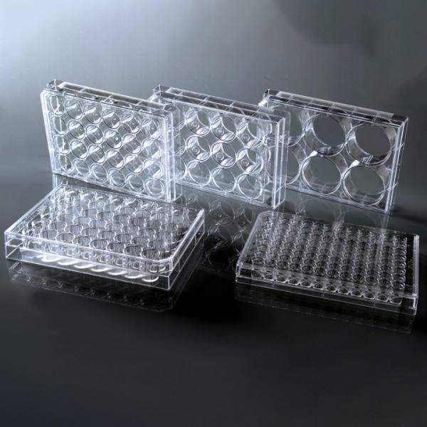 Buy Cell Culture Dish P3 2.9ml Biotechnology Lab Equipment at wholesale prices