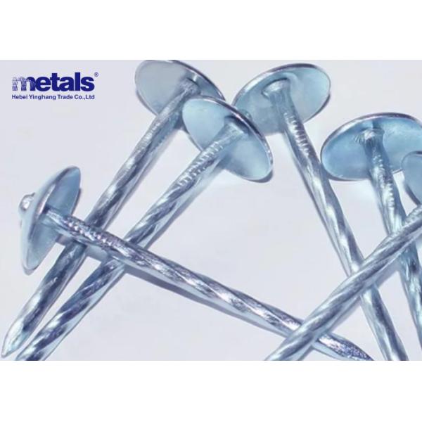 Buy Corrugated Roofing Nails Hardware Building Construction Umbrella Galvanised Roofing Nails Long Nails at wholesale prices