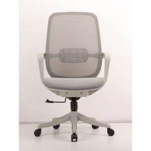 Adjustable Ergonomic Executive Mesh Office Chair with Swivel Wheels and Lumbar