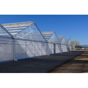Quality Tropical Area Vegetable Plastic Film Greenhouse For Hydroponic Growing for sale