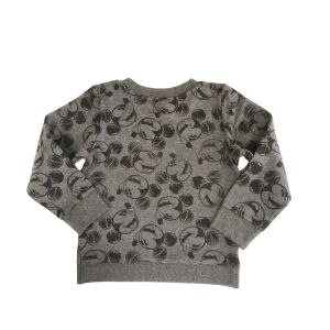 Boys and Girls Pullover Customized Cotton Kid Hoodie with Regular Sleeve Style