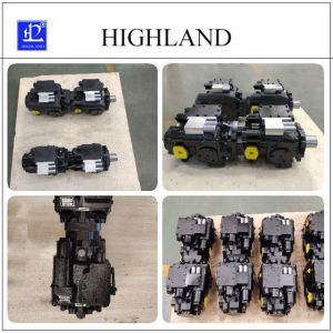 Custom Design Highland Tandem Hydraulic Pumps Cast Iron Material