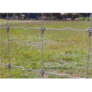 Quality Galvanized 5 FT Fixed Knot Woven Wire , Livestock Wire Fencing Panels for sale