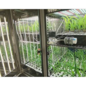 Liyi Plant Growth Chamber Artificial Climate Seed Germination Machine Plant