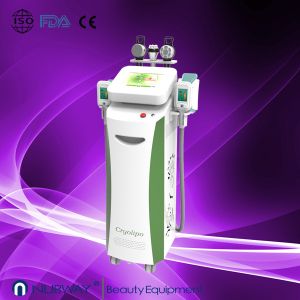 Newest fast amazing result cryolipolysis fast slimming machine to lose weight