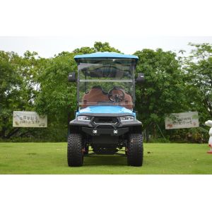 Minimum turning radius 5.25m Lifted 2 4 6 Seat Electric Lithium Battery Golf