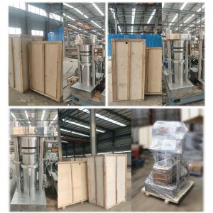 Batch Model Hydraulic Oil Press 8kg Sesame Seeds Machine