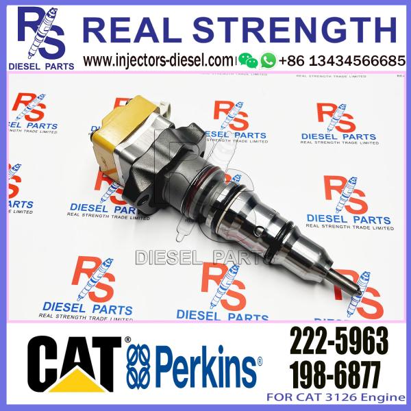 Buy Excavator Diesel Fuel Injector 222-5963 222-5972 173-4059 155-1819 For Caterpillar Engine 3126 3126B 3126E at wholesale prices