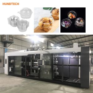 720mm Depth Chocolate Cake Box Making Machine Thermoforming Manufacturing