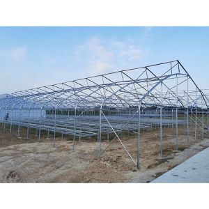 Customized Galvanized Steel Frame Greenhouse For Flowers And Berries