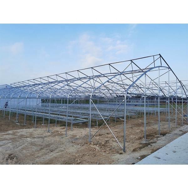Buy Customized Galvanized Steel Frame Greenhouse For Flowers And Berries at wholesale prices