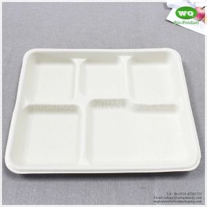 100% Biodegradable Sugarcane Pulp 5 Compartments Tray-High quality Biodegradable